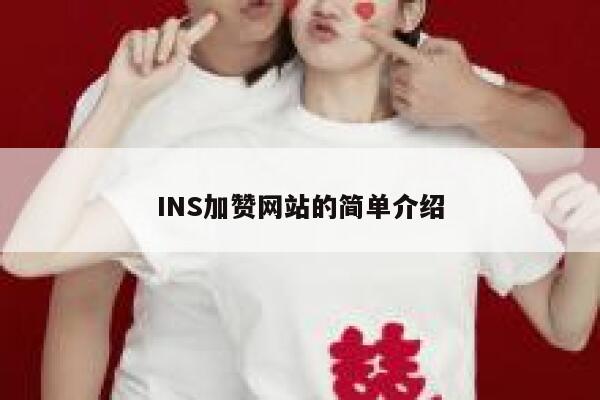 INS加赞网站的简单介绍 第1张
