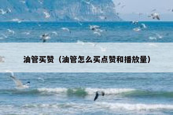 油管买赞(油管怎么买点赞和播放量) 第1张 油管买赞(油管怎么买点赞和播放量) 第1张