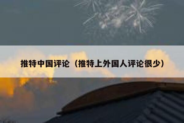 推特中国评论(推特上外国人评论很少) 第1张 推特中国评论(推特上外国人评论很少) 第1张