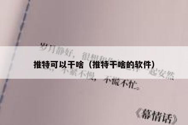 推特可以干啥(推特干啥的软件) 第1张 推特可以干啥(推特干啥的软件) 第1张