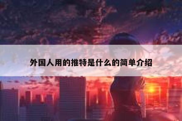 外国人用的推特是什么的简单介绍 第1张 外国人用的推特是什么的简单介绍 第1张