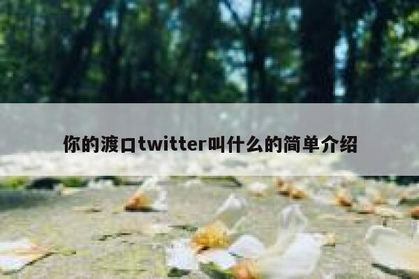 你的渡口twitter叫什么的简单介绍 第1张