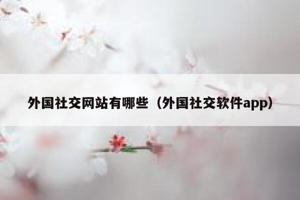 外国社交网站有哪些(外国社交软件app) 第1张 外国社交网站有哪些(外国社交软件app) 第1张