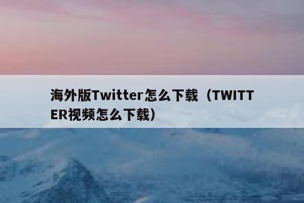海外版Twitter怎么下载(TWITTER视频怎么下载) 第1张 海外版Twitter怎么下载(TWITTER视频怎么下载) 第1张