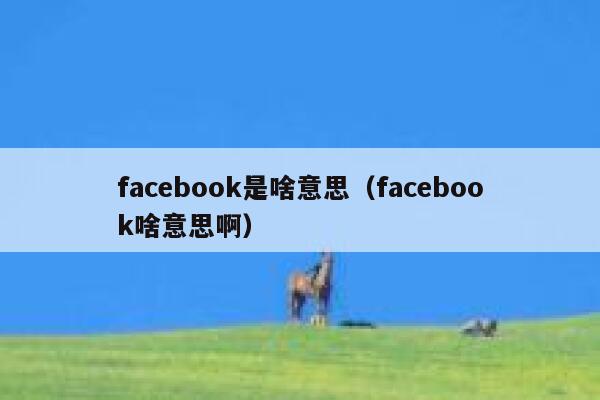 facebook是啥意思(facebook啥意思啊) 第1张 facebook是啥意思(facebook啥意思啊) 第1张
