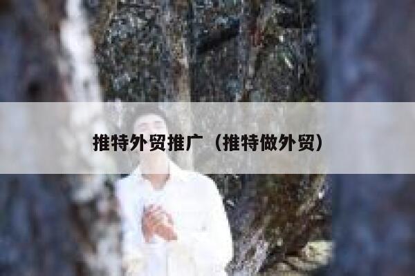推特外贸推广（推特做外贸） 第1张