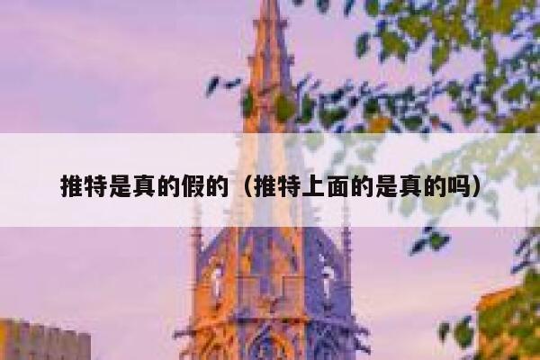 推特是真的假的(推特上面的是真的吗) 第1张 推特是真的假的(推特上面的是真的吗) 第1张