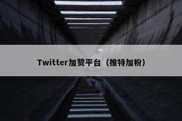 Twitter加赞平台(推特加粉) 第1张 Twitter加赞平台(推特加粉) 第1张