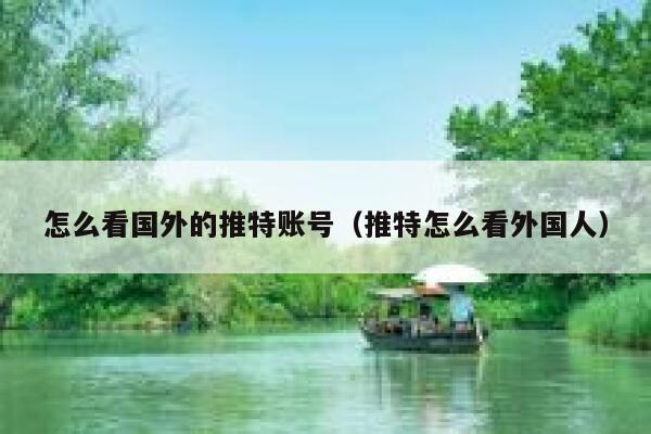 怎么看国外的推特账号(推特怎么看外国人) 第1张 怎么看国外的推特账号(推特怎么看外国人) 第1张