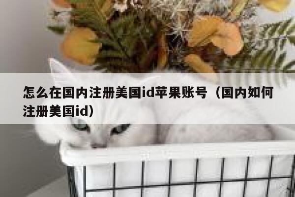 怎么在国内注册美国id苹果账号(国内如何注册美国id) 第1张 怎么在国内注册美国id苹果账号(国内如何注册美国id) 第1张