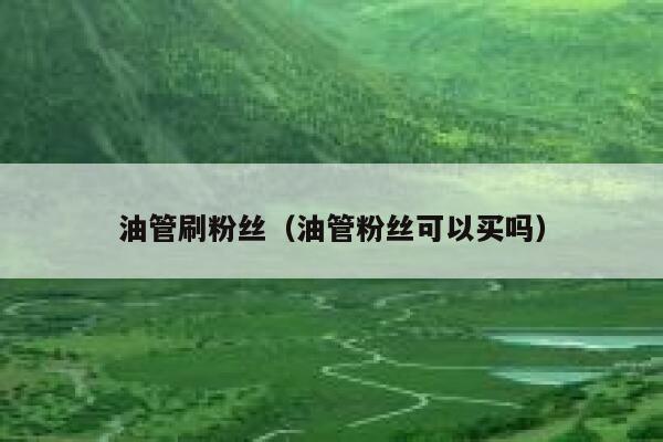油管刷粉丝(油管粉丝可以买吗) 第1张 油管刷粉丝(油管粉丝可以买吗) 第1张