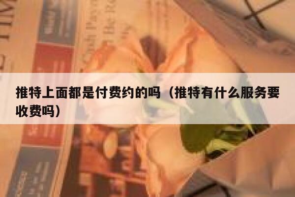 推特上面都是付费约的吗（推特有什么服务要收费吗） 第1张