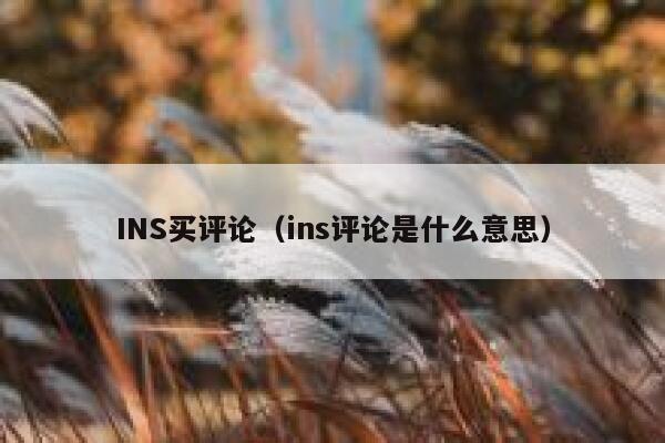 INS买评论（ins评论是什么意思） 第1张
