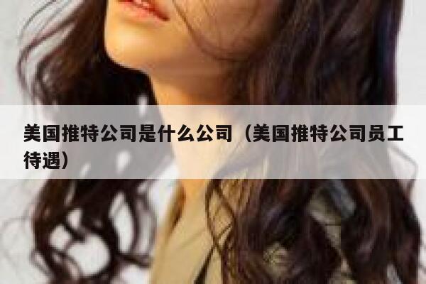 美国推特公司是什么公司(美国推特公司员工待遇) 第1张 美国推特公司是什么公司(美国推特公司员工待遇) 第1张
