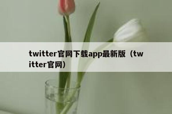 twitter官网下载app最新版（twitter官网） 第1张