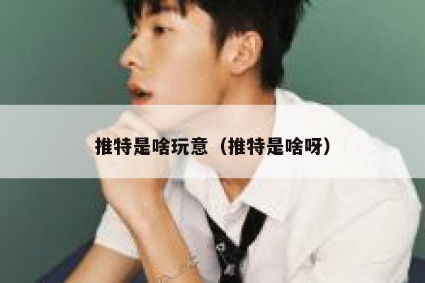 推特是啥玩意（推特是啥呀） 第1张