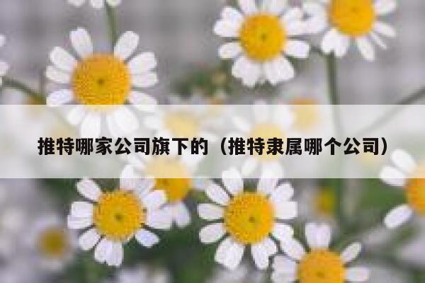 推特哪家公司旗下的(推特隶属哪个公司) 第1张 推特哪家公司旗下的(推特隶属哪个公司) 第1张