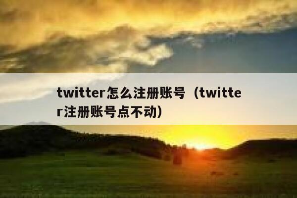 twitter怎么注册账号（twitter注册账号点不动） 第1张