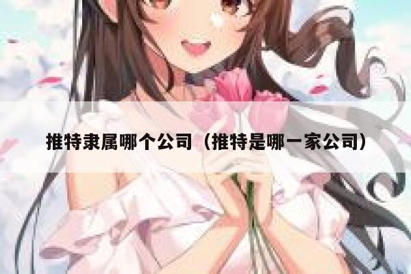 推特隶属哪个公司（推特是哪一家公司） 第1张