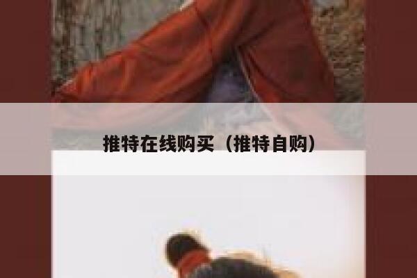 推特在线购买（推特自购） 第1张