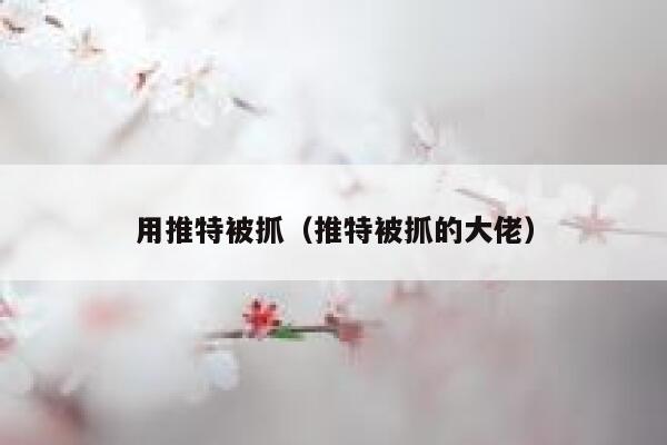 用推特被抓(推特被抓的大佬) 第1张 用推特被抓(推特被抓的大佬) 第1张