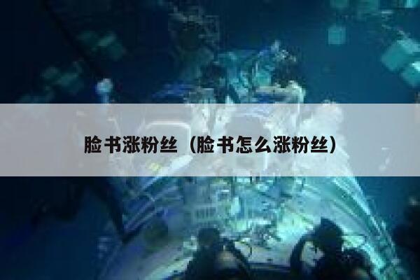 脸书涨粉丝（脸书怎么涨粉丝） 第1张