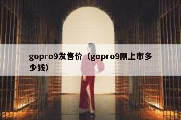 gopro9发售价（gopro9刚上市多少钱） 第1张