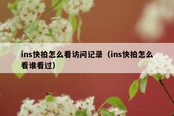 ins快拍怎么看访问记录(ins快拍怎么看谁看过) 第1张 ins快拍怎么看访问记录(ins快拍怎么看谁看过) 第1张
