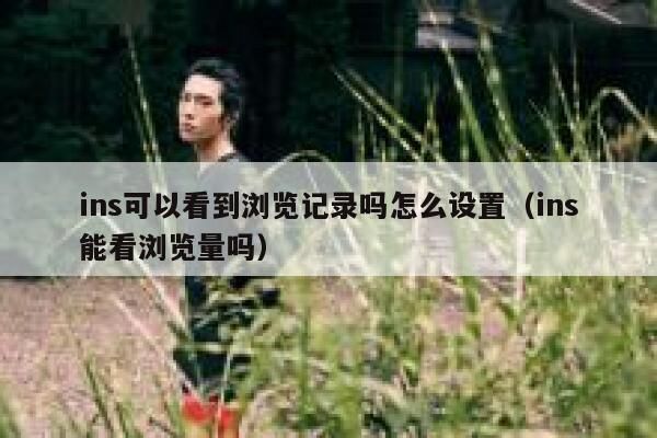 ins可以看到浏览记录吗怎么设置(ins能看浏览量吗) 第1张 ins可以看到浏览记录吗怎么设置(ins能看浏览量吗) 第1张