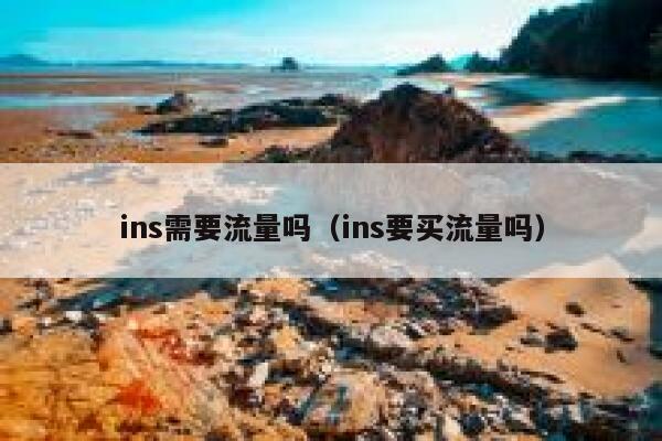 ins需要流量吗（ins要买流量吗） 第1张