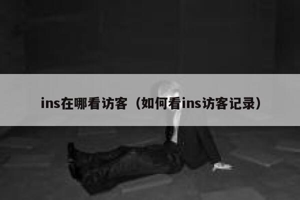 ins在哪看访客（如何看ins访客记录） 第1张