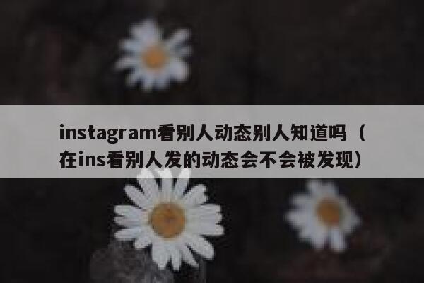instagram看别人动态别人知道吗（在ins看别人发的动态会不会被发现） 第1张