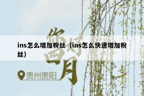 ins怎么增加粉丝(ins怎么快速增加粉丝) 第1张 ins怎么增加粉丝(ins怎么快速增加粉丝) 第1张