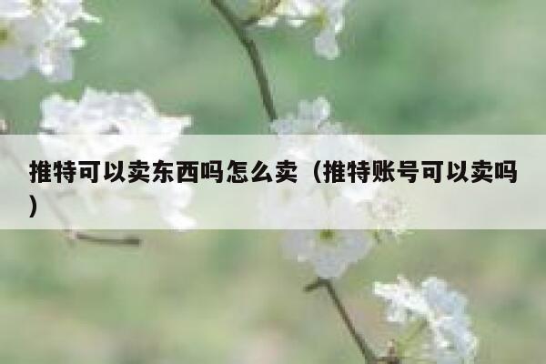 推特可以卖东西吗怎么卖（推特账号可以卖吗） 第1张