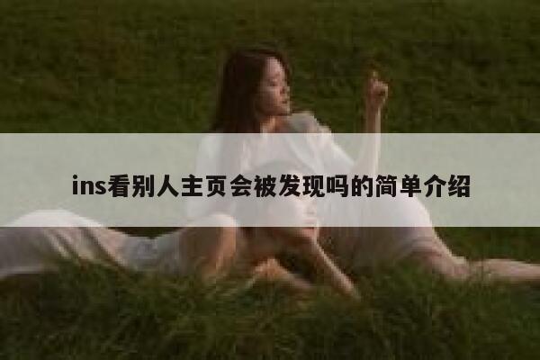 ins看别人主页会被发现吗的简单介绍 第1张