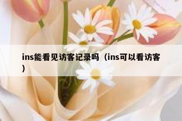 ins能看见访客记录吗(ins可以看访客) 第1张 ins能看见访客记录吗(ins可以看访客) 第1张