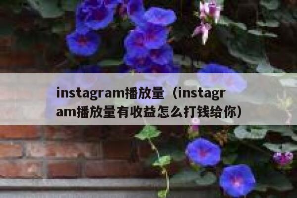 instagram播放量(instagram播放量有收益怎么打钱给你) 第1张 instagram播放量(instagram播放量有收益怎么打钱给你) 第1张