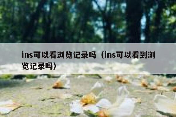 ins可以看浏览记录吗（ins可以看到浏览记录吗） 第1张
