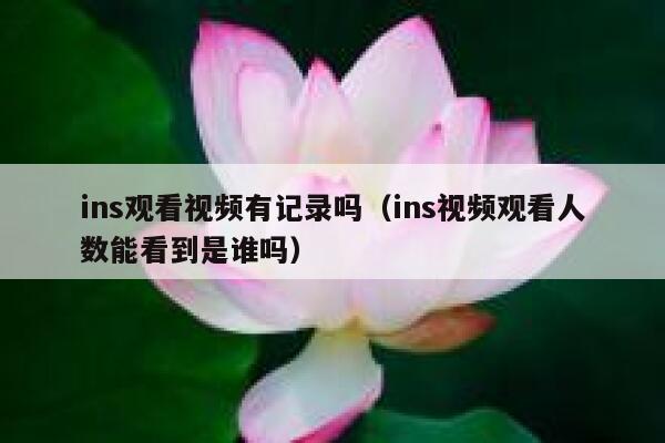 ins观看视频有记录吗（ins视频观看人数能看到是谁吗） 第1张