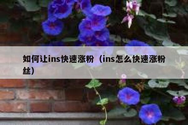 如何让ins快速涨粉（ins怎么快速涨粉丝） 第1张