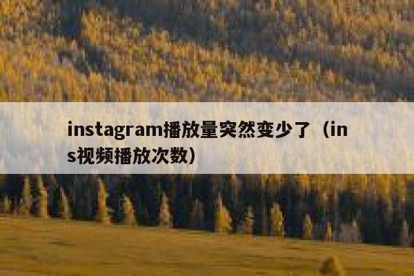 instagram播放量突然变少了（ins视频播放次数） 第1张