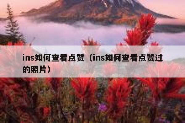 ins如何查看点赞(ins如何查看点赞过的照片) 第1张 ins如何查看点赞(ins如何查看点赞过的照片) 第1张