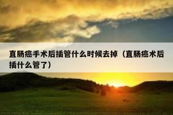 直肠癌手术后插管什么时候去掉(直肠癌术后插什么管了) 第1张 直肠癌手术后插管什么时候去掉(直肠癌术后插什么管了) 第1张
