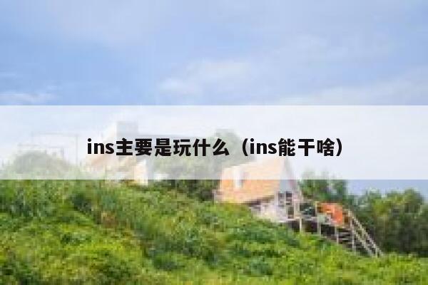 ins主要是玩什么（ins能干啥） 第1张