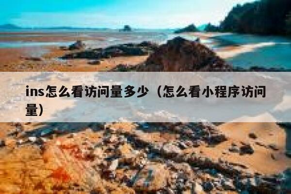 ins怎么看访问量多少（怎么看小程序访问量） 第1张