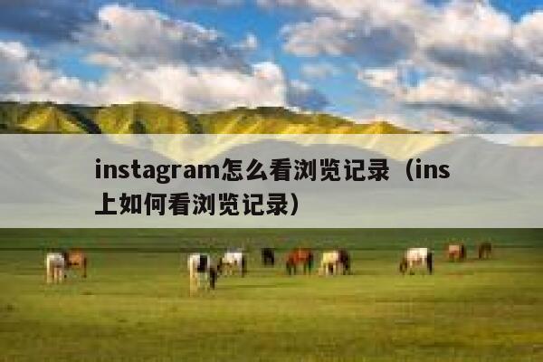 instagram怎么看浏览记录(ins上如何看浏览记录) 第1张 instagram怎么看浏览记录(ins上如何看浏览记录) 第1张