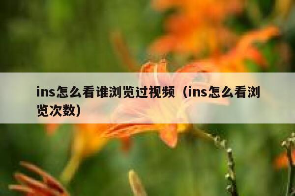 ins怎么看谁浏览过视频（ins怎么看浏览次数） 第1张