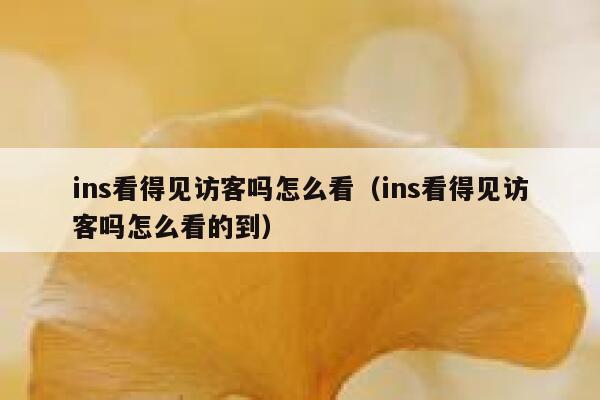 ins看得见访客吗怎么看（ins看得见访客吗怎么看的到） 第1张