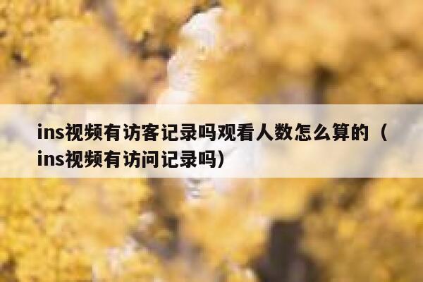ins视频有访客记录吗观看人数怎么算的（ins视频有访问记录吗） 第1张