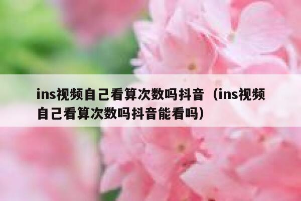 ins视频自己看算次数吗抖音(ins视频自己看算次数吗抖音能看吗) 第1张 ins视频自己看算次数吗抖音(ins视频自己看算次数吗抖音能看吗) 第1张